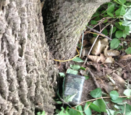 Getting Started With Geocaching